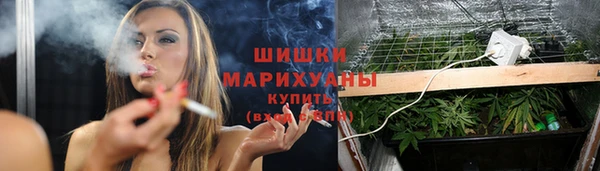 стаф Белокуриха