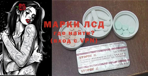 стаф Белокуриха